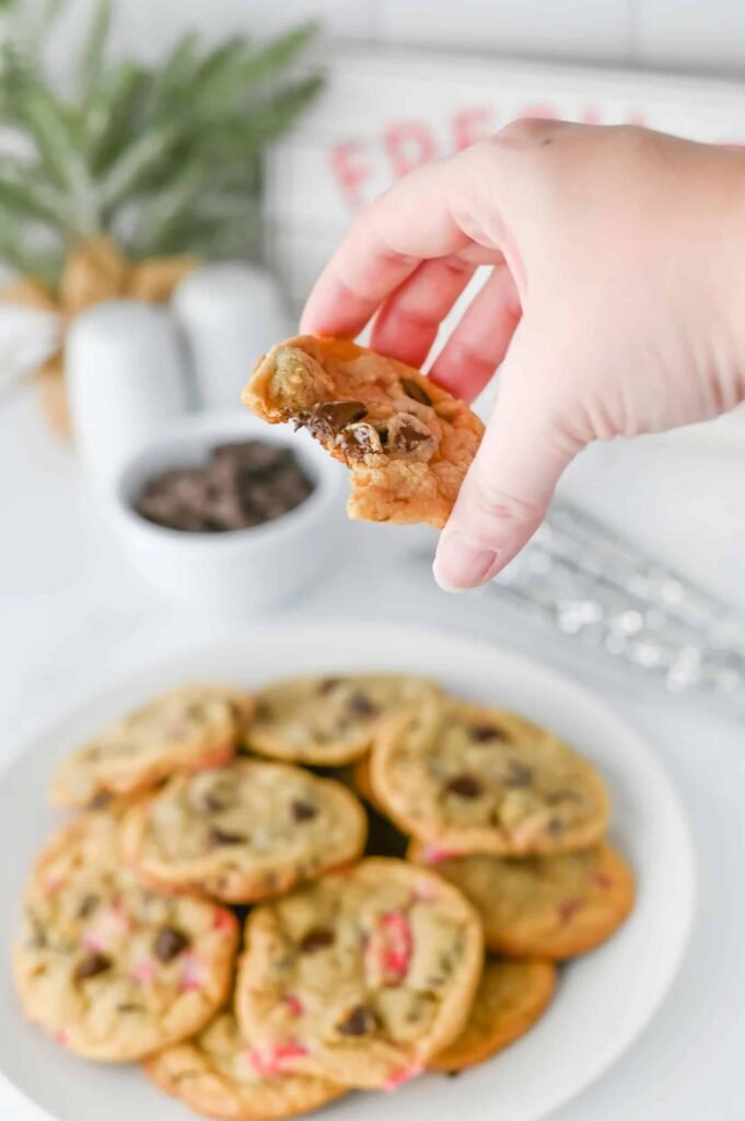Hand holding a peppermint chocolate chip cookie with melted chocolate, showing soft and chewy texture.