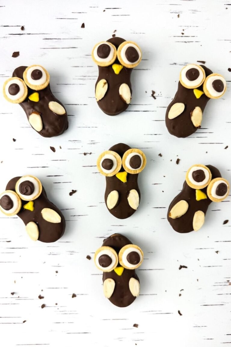 Cute Nutter Butter owl cookies decorated with chocolate, candy eyes, almond wings, and yellow beaks on a white background