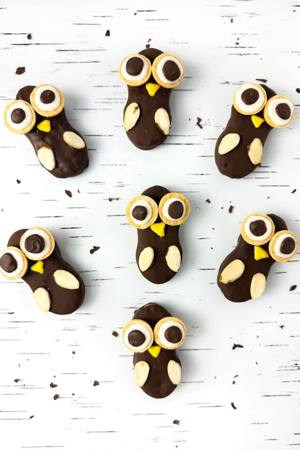 Nutter Butter Owl Cookies (Easy No-Bake Fall Treat) : This Nana Can Cook