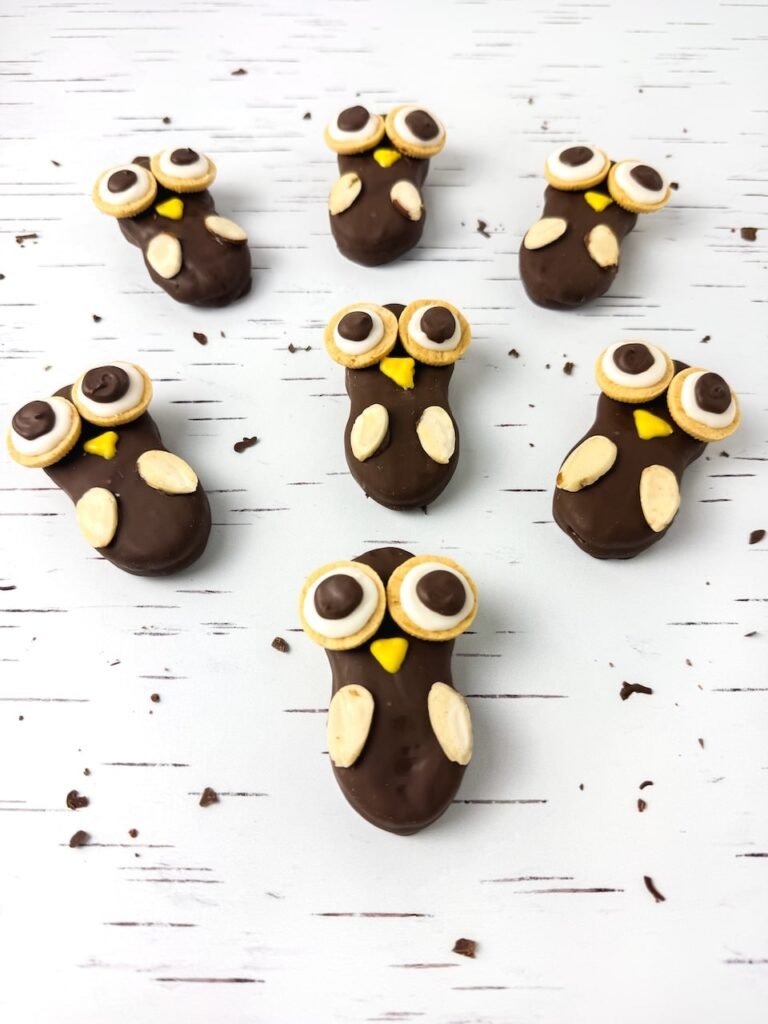 overhead view of seven Nutter Butter owl cookies arranged on a white birch-patterned surface, each coated in chocolate and decorated with cookie eyes, yellow candy beaks, and almond slice wings, shown as a fun no-bake fall dessert idea.