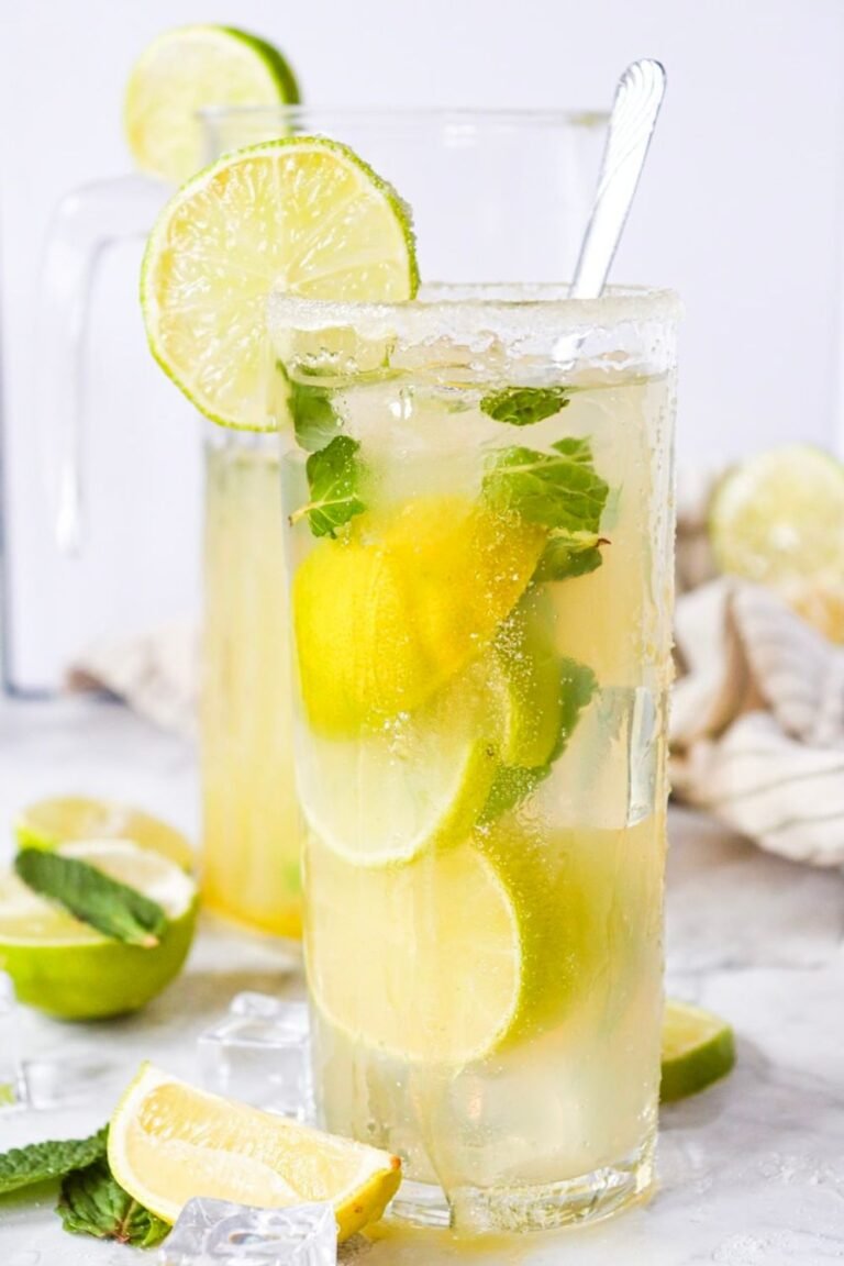 Tall glass of virgin mojito mocktail with lime slices, mint leaves, ice, and bubbles, garnished with a lime wheel on the rim.